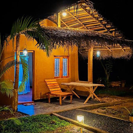 فندق Wild Safari Clay House اوداوالاوي المظهر الخارجي الصورة