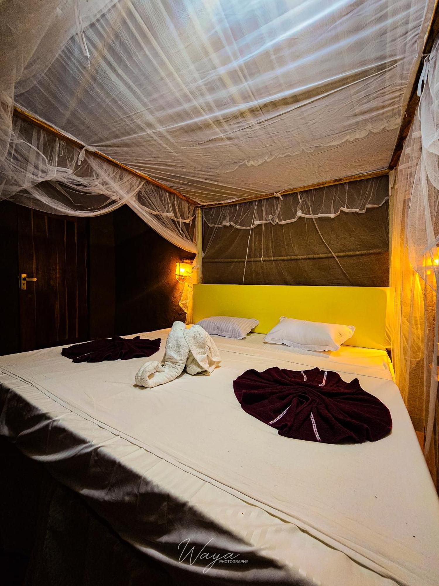 فندق Wild Safari Clay House اوداوالاوي المظهر الخارجي الصورة