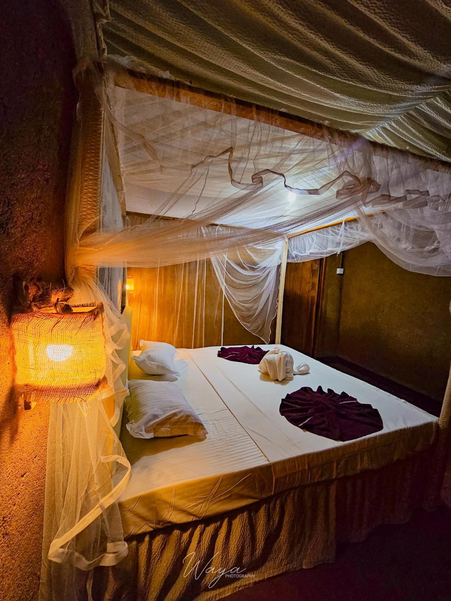 فندق Wild Safari Clay House اوداوالاوي المظهر الخارجي الصورة